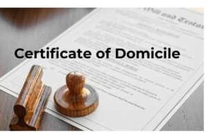 Cara Memperoleh Surat Keterangan Domisili (SKD) atau Certificate Of Domicile Of Non Resident For Indonesia Tax Withholding (Form – DGT 2) dan Pengajuannya di Coretax